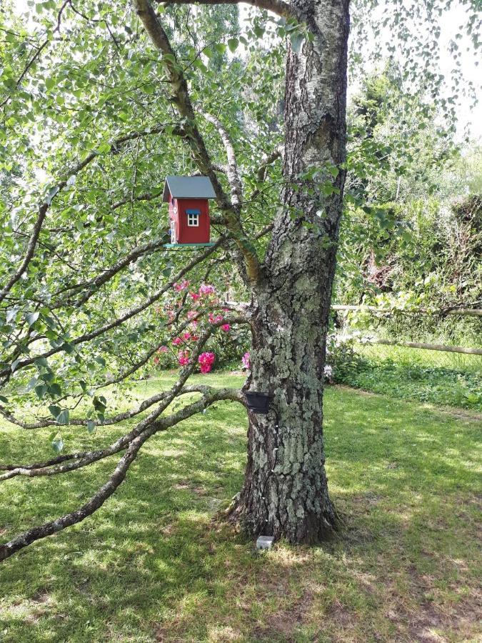 Chambre D'Hote De La Rotterie Saint-Mars-dʼOutillé 외부 사진